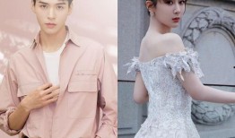 杨紫龚俊最新爆料,揭秘幕后故事与甜蜜互动